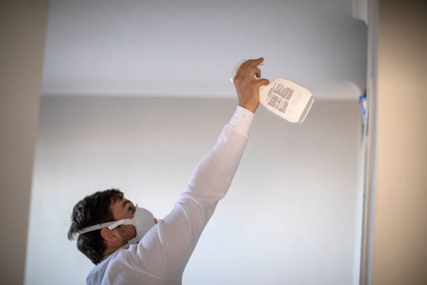 Mold Testing and Removal in Mount Carmel, TN