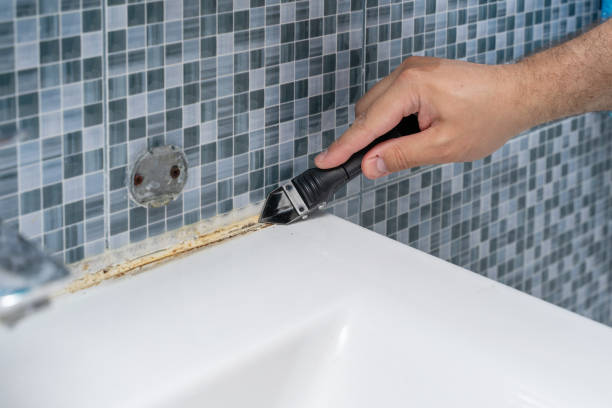 Best Best Mold Removal Companies  in Mount Carmel, TN