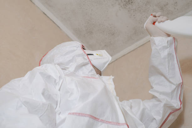 Best Residential Mold Removal  in Mount Carmel, TN